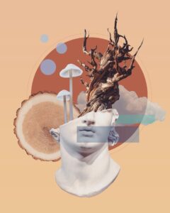 ترکیت واقعیت و خیال