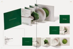 بروشور تبلیغاتی بروشور تبلیغاتی